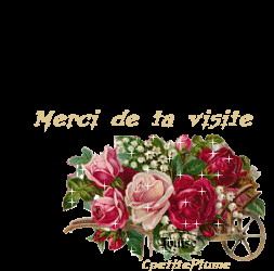 MERCI DE TA VISITE