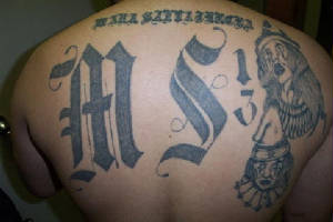 la MS-13